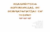 Diagnóstico dermopatías en suinos
