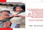 La malaria en poblaciones indígenas de la cuenca del río Caura, Estado Bolívar, Venezuela.