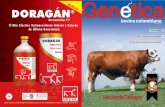 10 Revista genetica bovina
