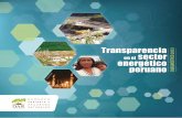 Tríptico informatico. Diagnóstico 2013: Transparencia en el sector energético peruano