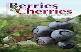Berries & Cherries - Edición 7
