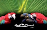 Catálogo Sun Parrots