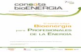 CONECTA BIOENERGIA para profesionales de la ENERGIA