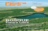 Revista Piedra Libre N°51