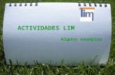 Actividades LIM
