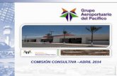 Comision Consultiva del Aeropuerto Internacional de Aguascalientes
