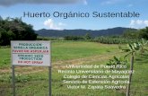 Huerto Orgánico Sustentable