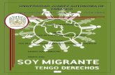 Derechos humanos de los migrantes en mexico