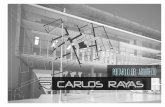 Portafolio Carlos Rayas