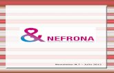 Proyecto Nefrona - Newsletter N.7