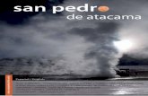 Guia de San Pedro de Atacama n°13