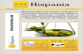 Boletín ACV Hispania Febrero 2013