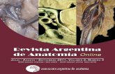 Revista Argentina de Anatomía Online 2011; 2(3): 71-100.