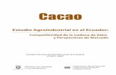 Cacao. Estudio agroindustrial en el Ecuador: