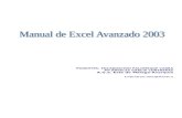 Manual Excel Avanzado 2003