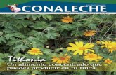Revista Conaleche N.15