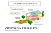 Termodinamica y energia