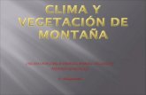 CLIMA Y VEGETACIÓN DE MONTAÑA