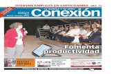 Revista Conexion 44