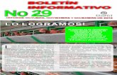Boletín Informativo Octubre - Diciembre 2012