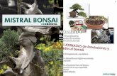 Revista Mistral Bonsai digital 1