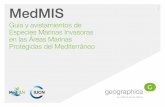 MedMIS Plataforma Web y Móvil de avistamientos para las Áreas Marinas Protegidas del Mediterráneo
