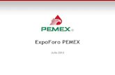 Expo pemex 20121