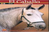Revista El Caballo Español 2002 n.151