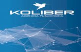 Servicios Publicitarios - KOLIBER