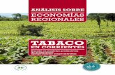 Análisis sobre Economias Regionales - TABACO en Corrientes