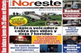 Periódico Noreste de Guanajuato #669
