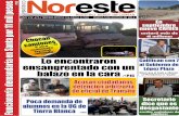 Periódico Noreste de Guanajuato #673