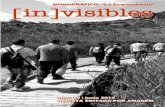 In Visibles