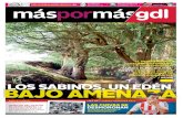 18 agosto issue gdl