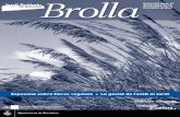 Brolla 17 (2008)