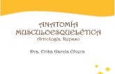 3 anatomía artrología erika tf1 2014