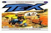 Tex gigante # 11 os predadores do deserto (2003)