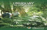 Uruguay en primavera