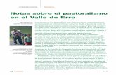 Pastoralismo Valle de Erro-RevistaForesta33-2006