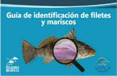 Guía de filetes de pescados y mariscos de Loreto B.C.S.