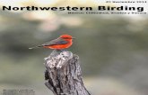 Northwestern birding