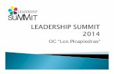 Reporte OC - Leadership Summit 2014.2