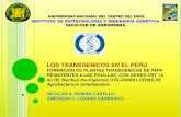 Los transgénicos en el Perú - La papa transgénica
