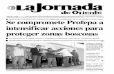 La Jornada de Oriente Tlaxcala - no 4915 - 2014/11/13