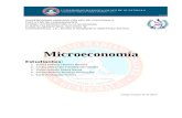 Exposición de microeconomía