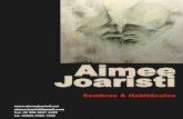Aimee joaristi, sombras y habitáculos, 2014