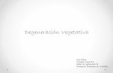 Degeneracion vegetativa