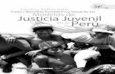 Estudio y Análisis sobre el Costo Beneficio Económico y Social de los Modelos de JJ en el Perú