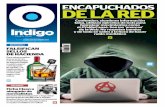 Reporte Indigo: ENCAPUCHADOS DE LA RED 8 Diciembre 2014