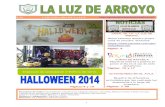 LA LUZ DE ARROYO  Nº20 curso2014-2015